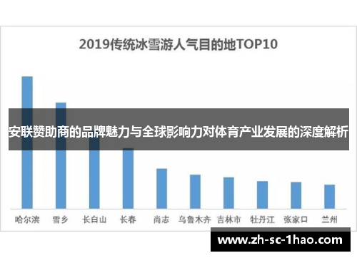 安联赞助商的品牌魅力与全球影响力对体育产业发展的深度解析