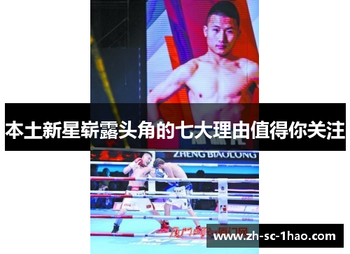 本土新星崭露头角的七大理由值得你关注