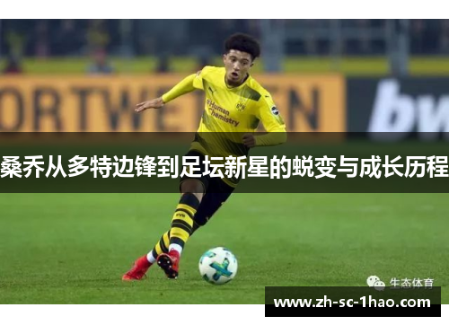 桑乔从多特边锋到足坛新星的蜕变与成长历程