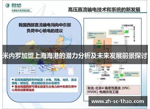 米内罗加盟上海海港的潜力分析及未来发展前景探讨