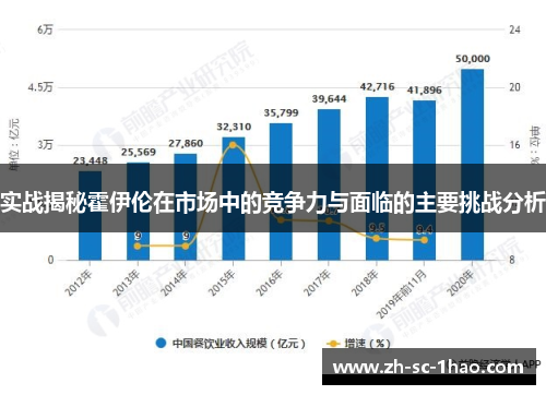 实战揭秘霍伊伦在市场中的竞争力与面临的主要挑战分析