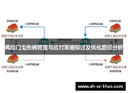 弗拉门戈伤病管理与应对策略探讨及优化路径分析