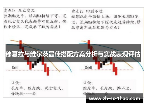 穆夏拉与维尔茨最佳搭配方案分析与实战表现评估