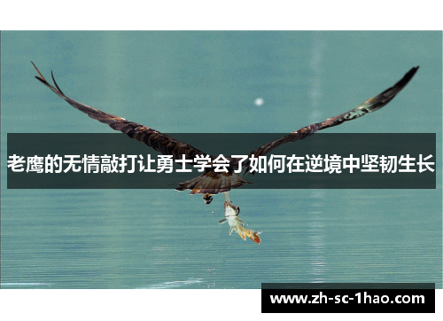 老鹰的无情敲打让勇士学会了如何在逆境中坚韧生长