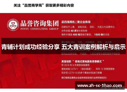 青辅计划成功经验分享 五大青训案例解析与启示