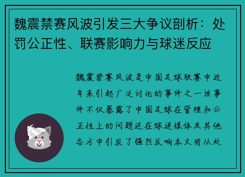 魏震禁赛风波引发三大争议剖析：处罚公正性、联赛影响力与球迷反应
