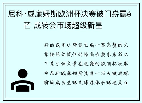 尼科·威廉姆斯欧洲杯决赛破门崭露锋芒 成转会市场超级新星