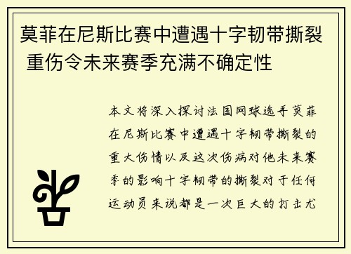 莫菲在尼斯比赛中遭遇十字韧带撕裂 重伤令未来赛季充满不确定性